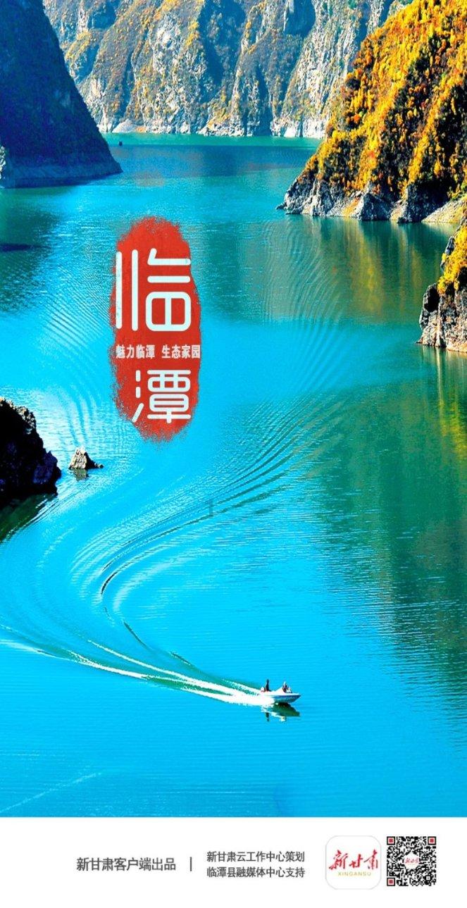 无忧国际wy6999